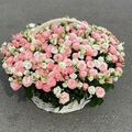 Flowers delivery Armenia